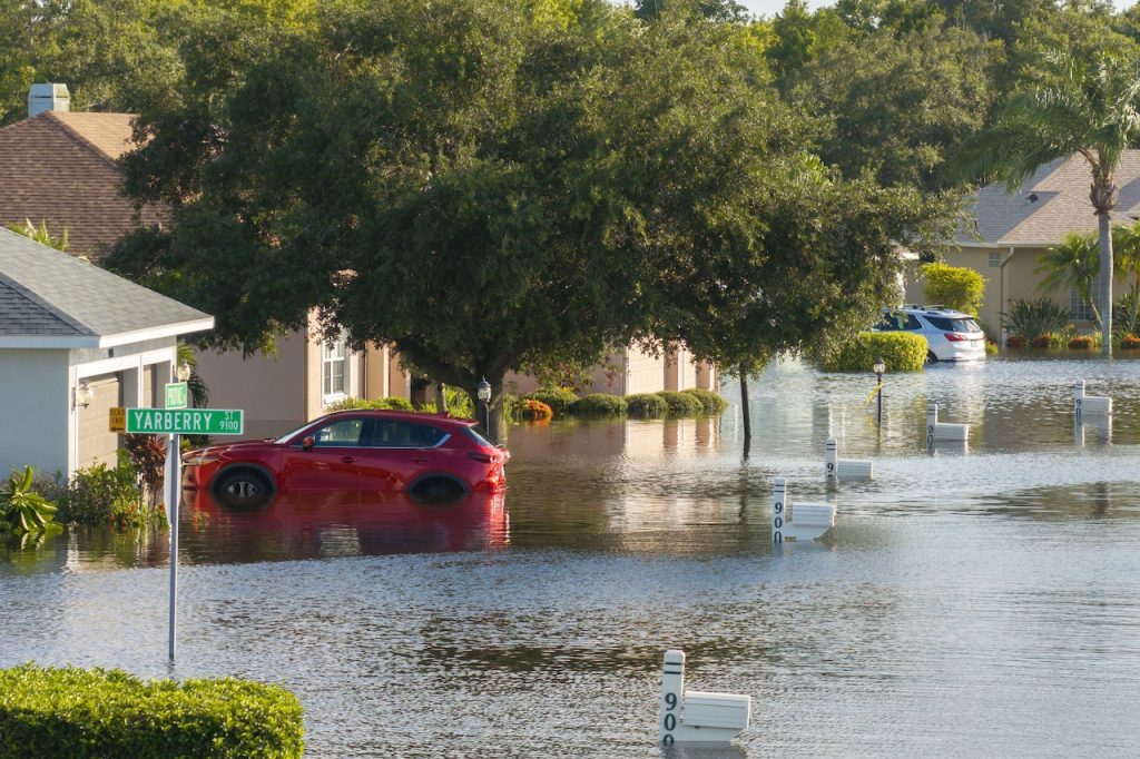 Hurricane Season